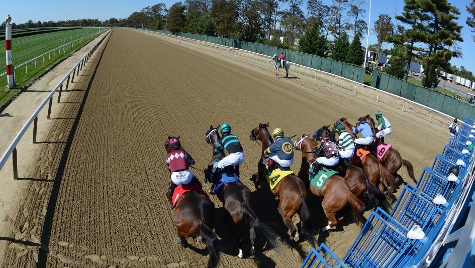 Noel Michaels handicapping, Americas Best Racing Sunday Selections, Belmont at the Big A Noel Michaels handicapping, Americas Best Racing Sunday Selections, Belmont at the Big A